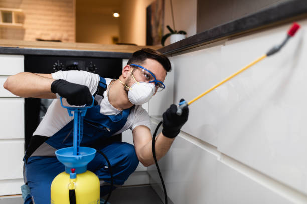 Best Pest Control Near Me  in Wade Hampton, SC
