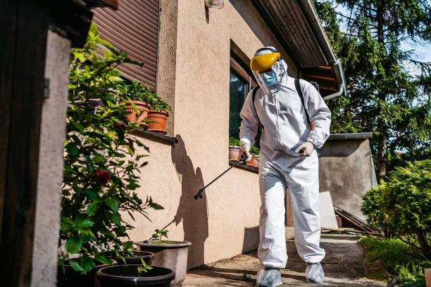 Best Wasp Removal Services  in Wade Hampton, SC