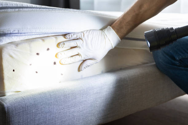 Best Wildlife Control Services  in Wade Hampton, SC