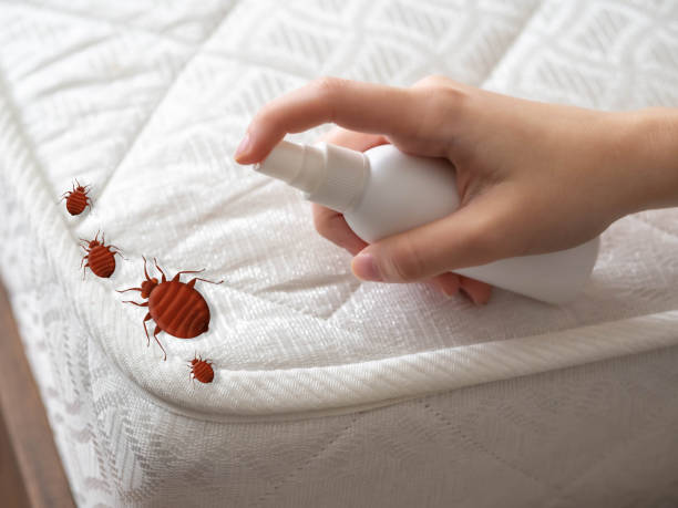 Best Cockroach Control Services  in Wade Hampton, SC