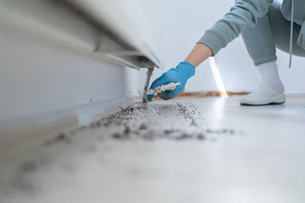 Pest Control Cost in Wade Hampton, SC