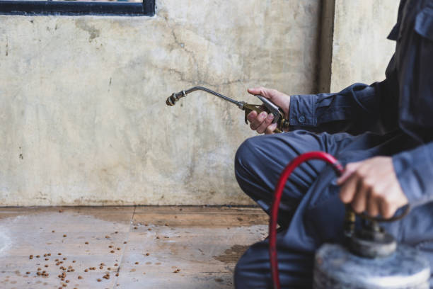 Best Best Pest Control Companies  in Wade Hampton, SC